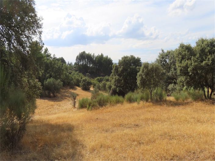 Image No.30-Property for sale