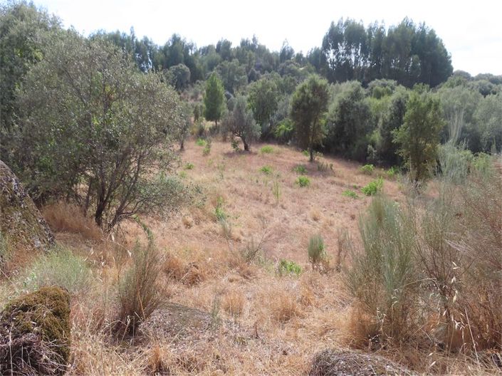 Image No.5-Property for sale