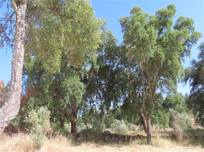 Image No.15-Property for sale