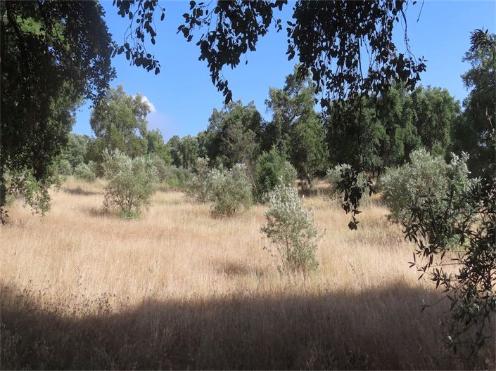 Image No.17-Property for sale