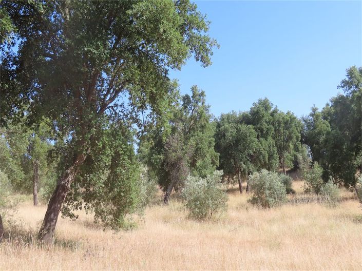 Image No.19-Property for sale