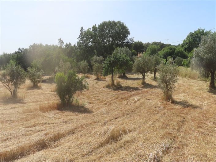 Image No.2-Property for sale
