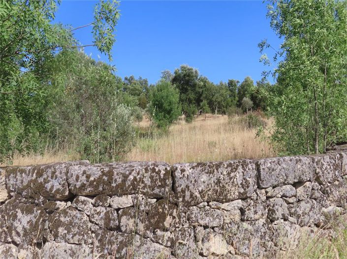 Image No.22-Property for sale