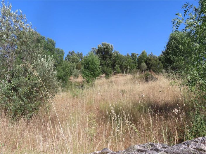 Image No.23-Property for sale