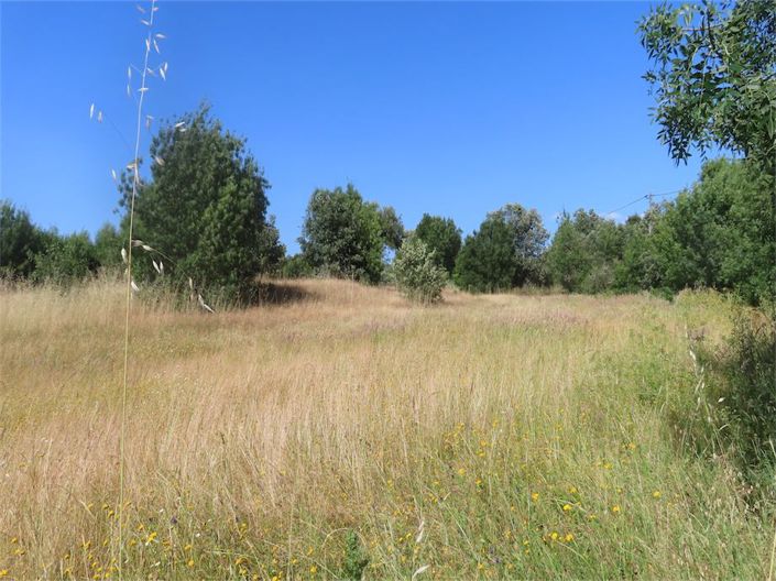 Image No.25-Property for sale