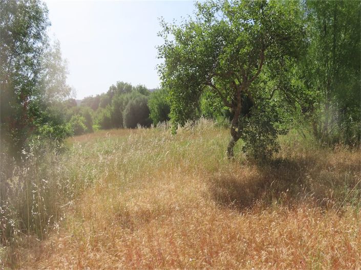 Image No.28-Property for sale