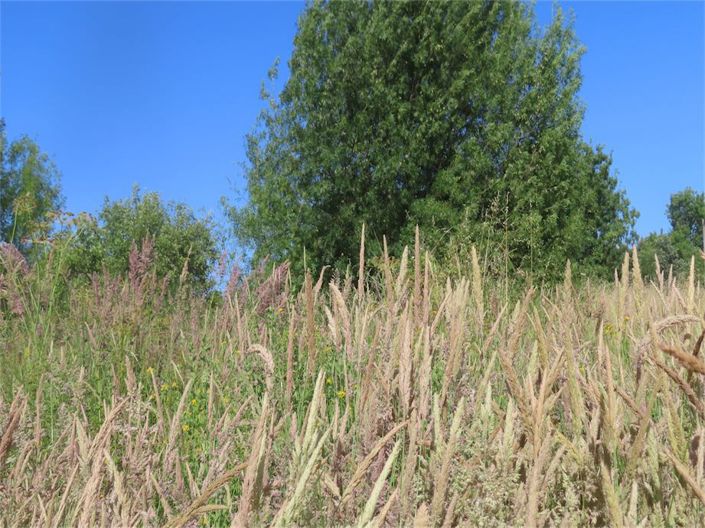 Image No.32-Property for sale