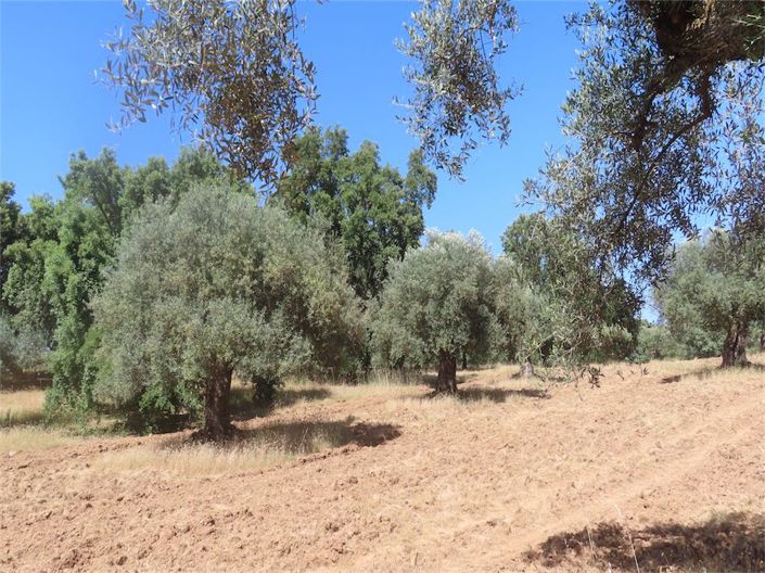 Image No.11-Property for sale