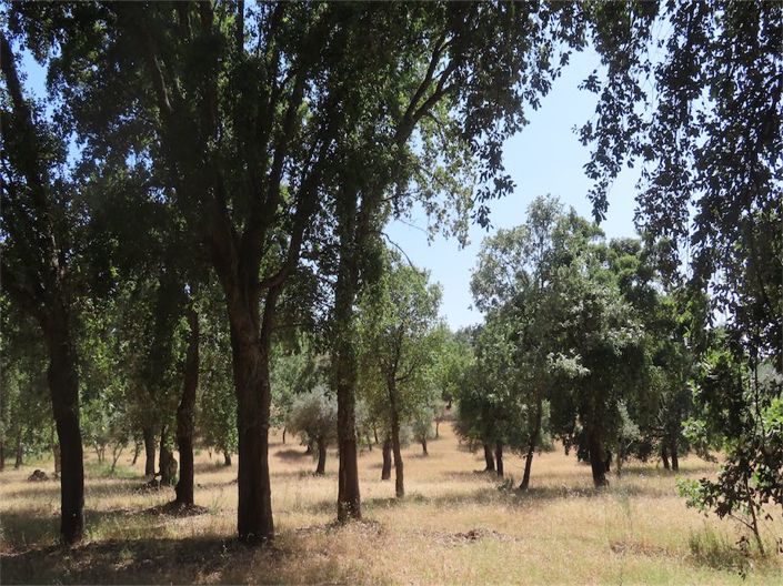 Image No.13-Property for sale
