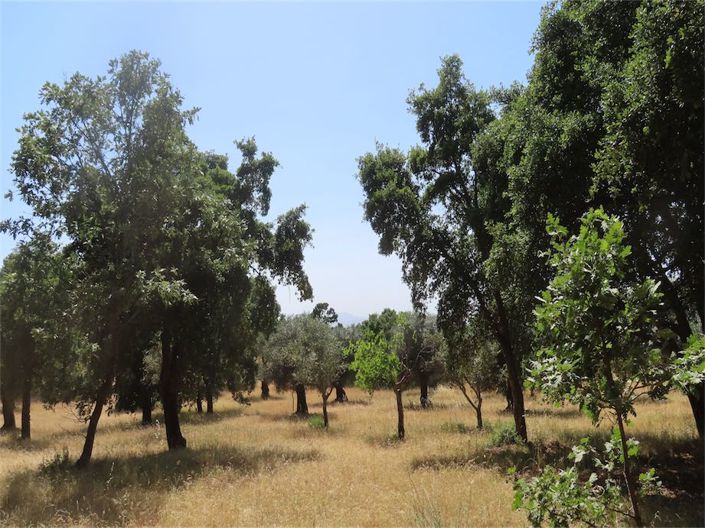 Image No.15-Property for sale