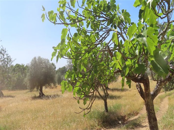Image No.16-Property for sale