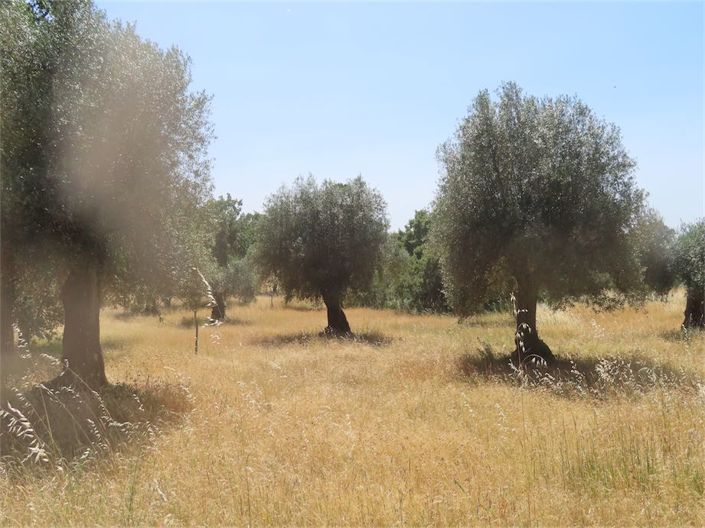 Image No.17-Property for sale