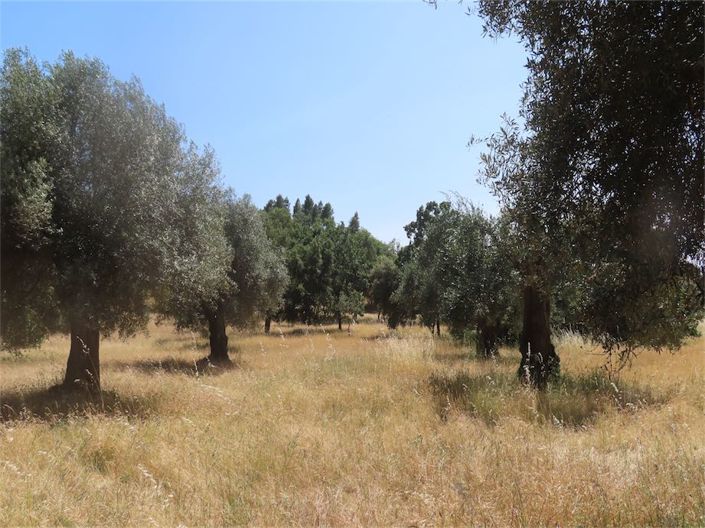 Image No.18-Property for sale