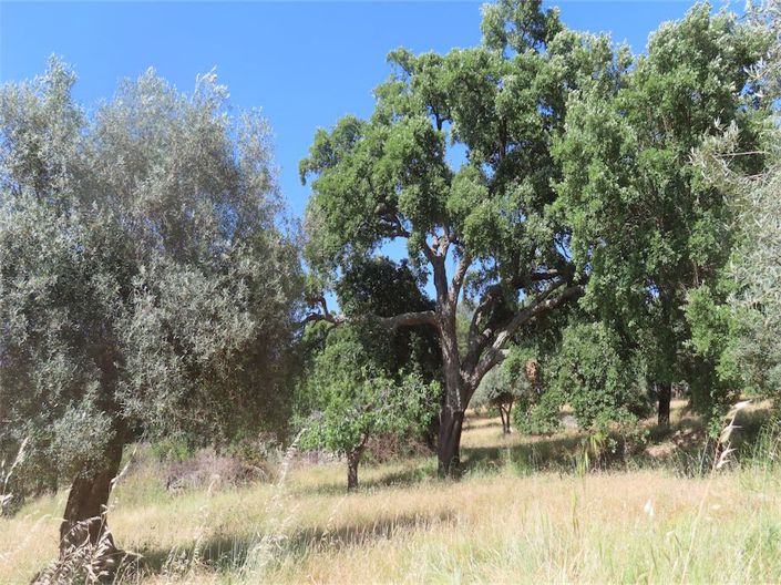 Image No.19-Property for sale