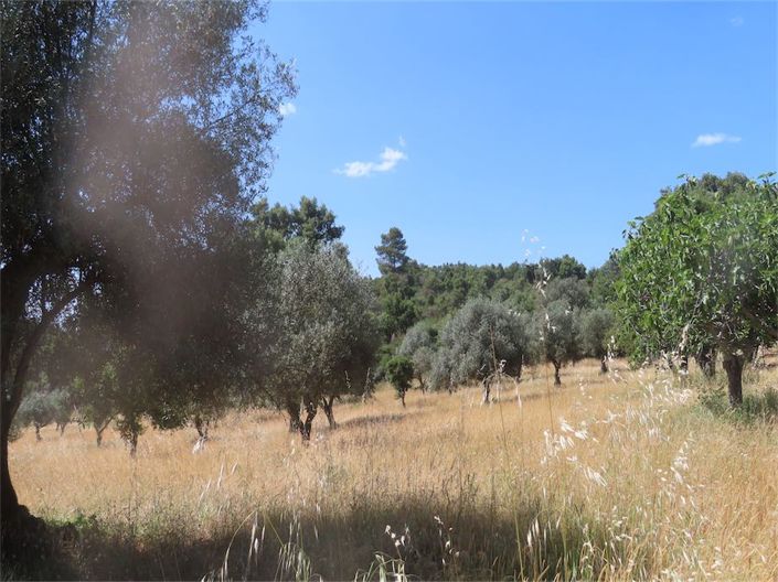 Image No.20-Property for sale