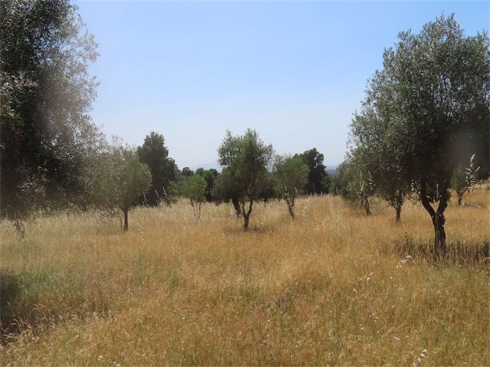 Image No.22-Property for sale
