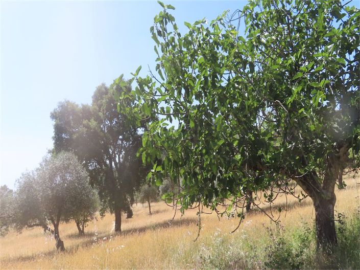 Image No.23-Property for sale