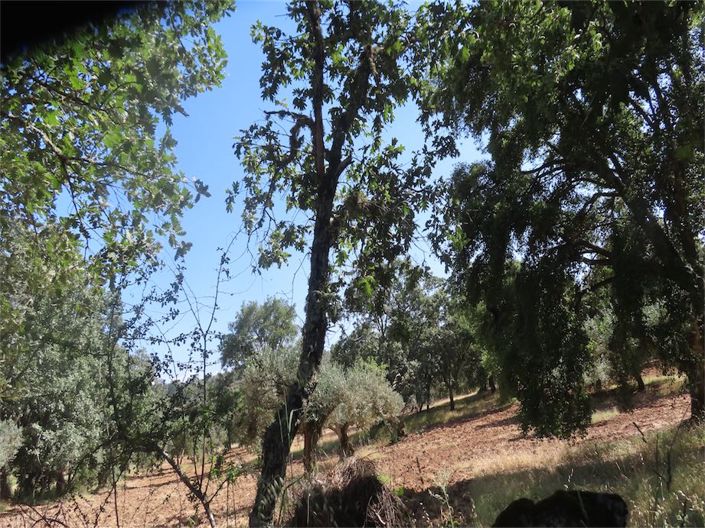 Image No.24-Property for sale