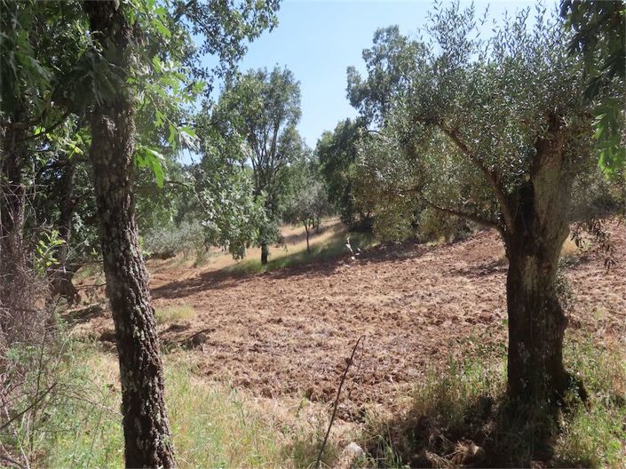 Image No.25-Property for sale