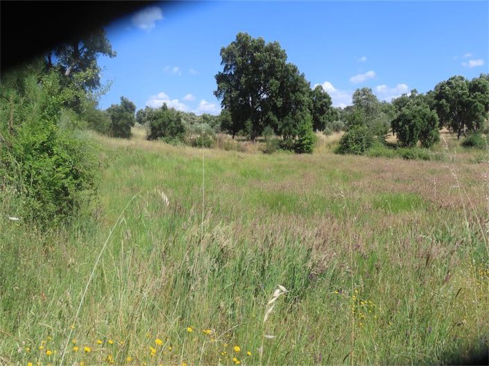 Image No.26-Property for sale