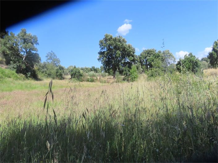 Image No.27-Property for sale