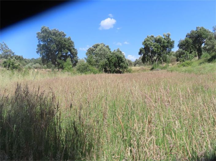 Image No.28-Property for sale