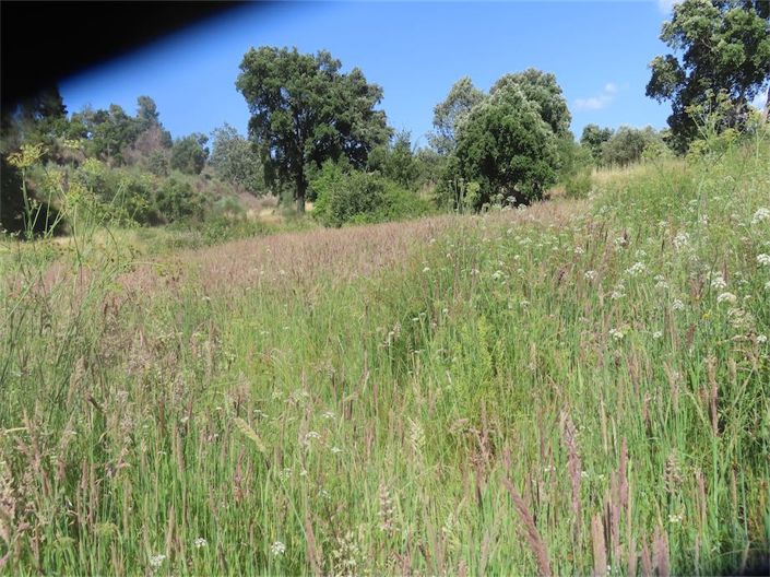 Image No.29-Property for sale