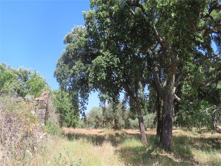 Image No.3-Property for sale