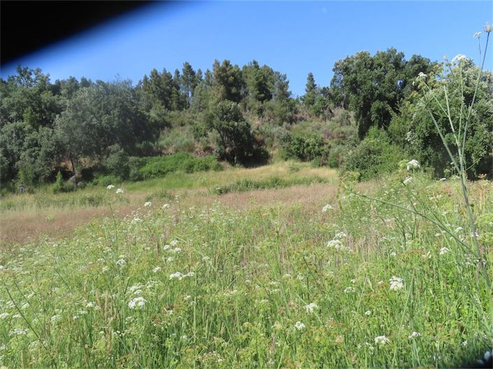 Image No.30-Property for sale