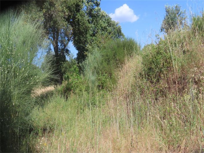 Image No.32-Property for sale
