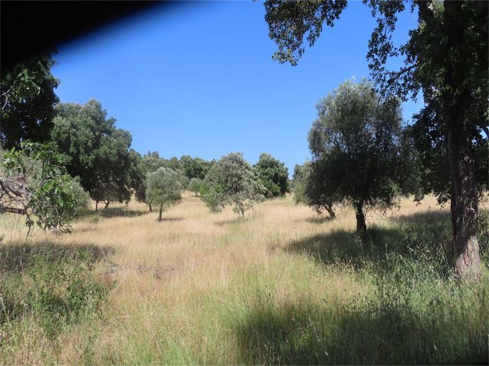 Image No.34-Property for sale