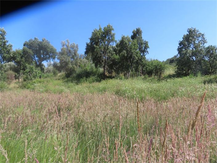 Image No.35-Property for sale