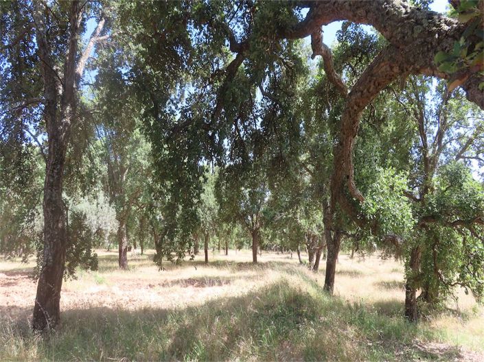 Image No.5-Property for sale