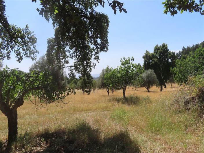 Image No.6-Property for sale