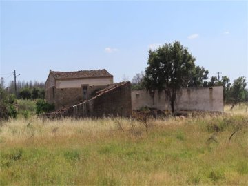 img1021
