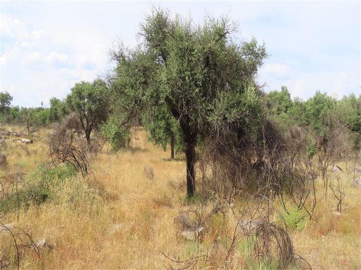 Image No.19-Property for sale