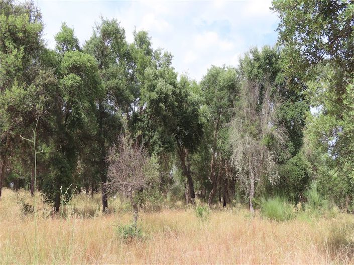 Image No.20-Property for sale