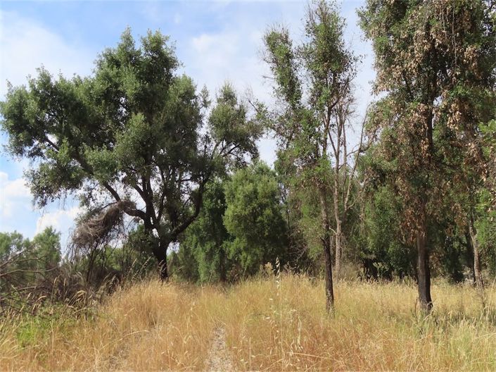 Image No.21-Property for sale