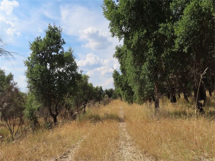 Image No.23-Property for sale