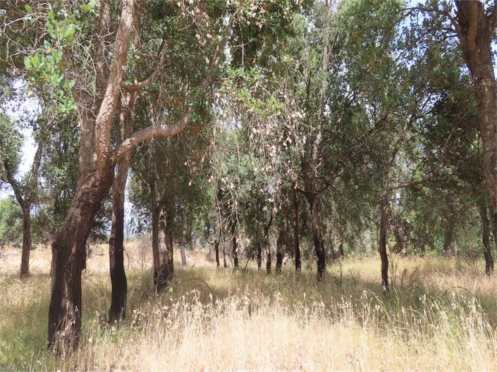 Image No.24-Property for sale