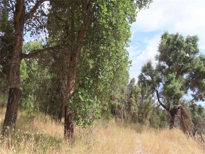 Image No.25-Property for sale