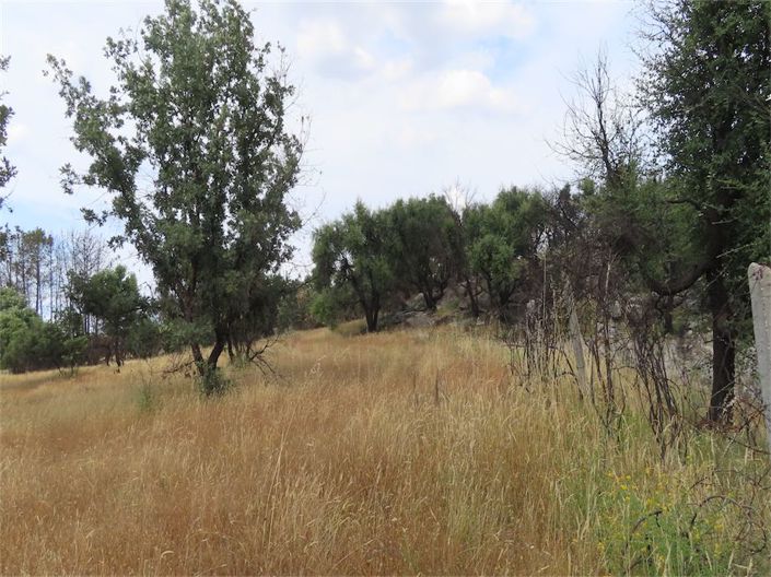 Image No.26-Property for sale