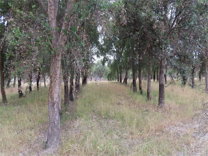 Image No.34-Property for sale