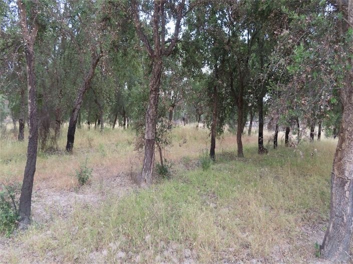 Image No.35-Property for sale