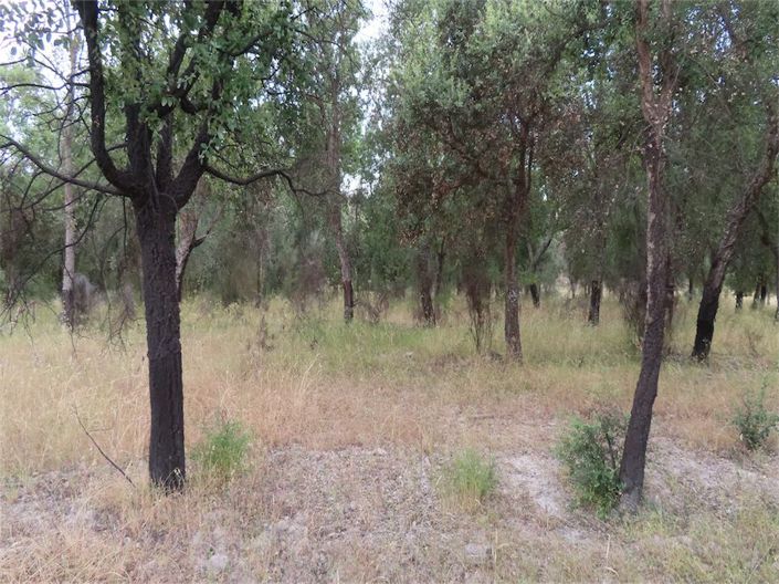 Image No.36-Property for sale