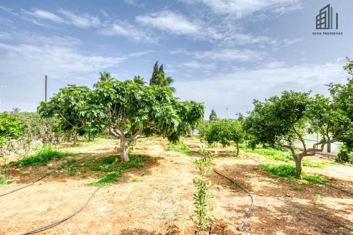Image No.31-Villa de 4 chambres à vendre à Protaras