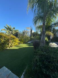 IMG-20250123-WA0014