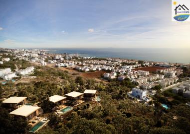 ALAYA-ECO-FRIENDLY-VILLAS-EXTERIOR-PICTURE--9-