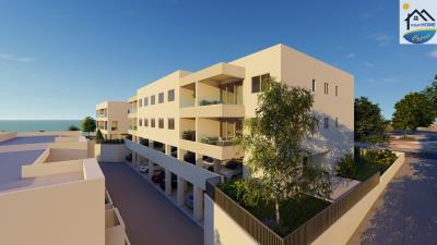 Melania-Gardens-D_Begonia-Block-1---Back