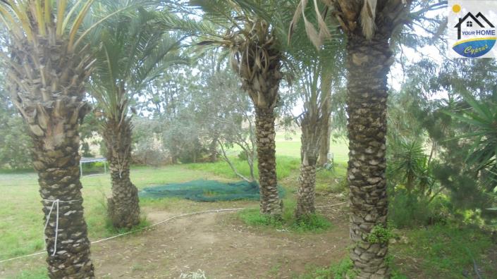 Image No.9-5 Bed Villa / Detached for sale